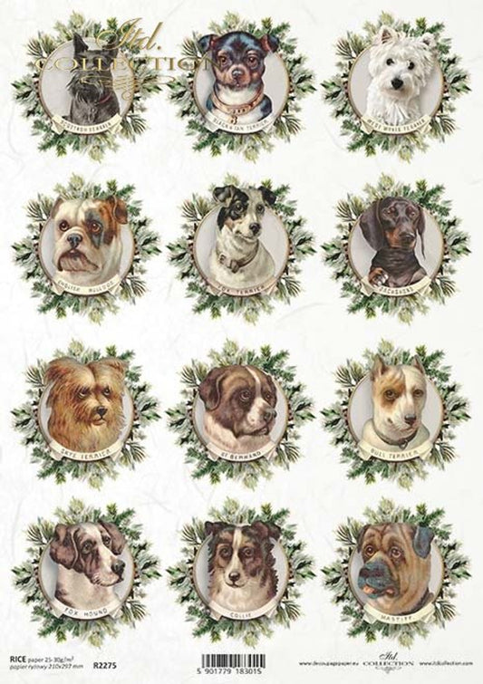 ITD Collection - Twelve Round Mini Dog Portraits
