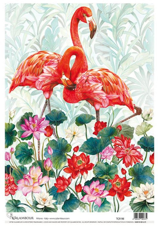 Calambour - Pink Flamingos and Lotus Flower