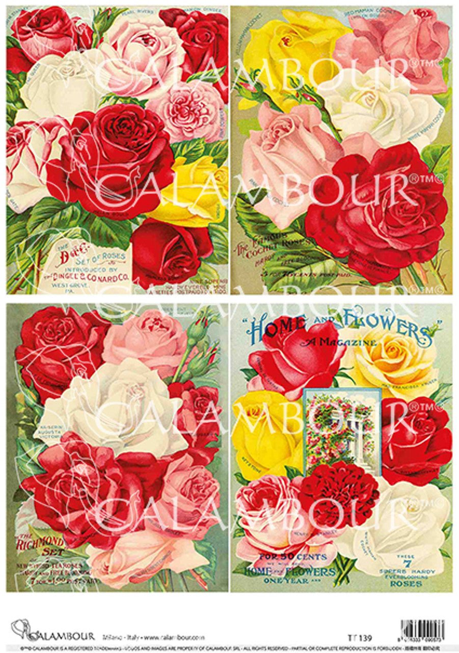 Calambour - Red Pink White and Yellow Roses