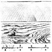 IOD - Barnwood Planks Decor Stamp 2 Sheets  (12"x12")