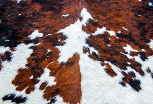 Roycycled - Cowhide - karen j createsRoycycled - CowhideDecoupage PaperRoycycled88_cowhide88268060