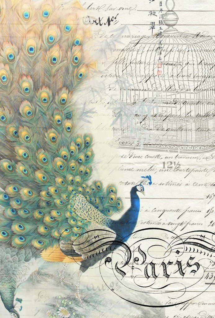 Roycycled - Peacock Ephemera Left - karen j createsRoycycled - Peacock Ephemera LeftDecoupage PaperRoycycled24_peacock_ephemera_left64202524